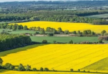 Держгеокадастр оголосив нову індексацію для земель Одеси та області