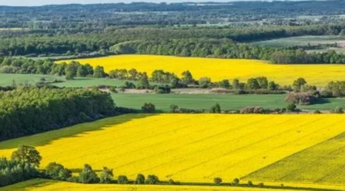 Держгеокадастр оголосив нову індексацію для земель Одеси та області
