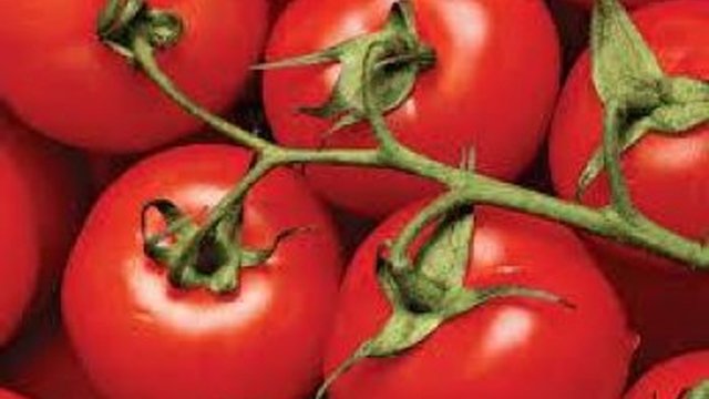 Минекономики со 2 февраля возобновит прием заявок на гранты для садоводства и теплиц, бюджет на 2026 год — $465 млн