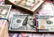 Курс валют от НБУ: доллар упал ниже 43 гривен