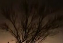 Дроны СБУ во второй раз поразили нефтяной терминал "Таманьнефтегаз" в рф — источник