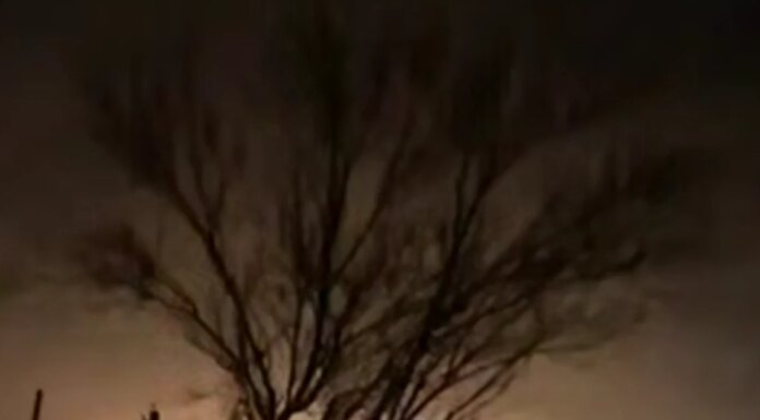 Дроны СБУ во второй раз поразили нефтяной терминал "Таманьнефтегаз" в рф — источник