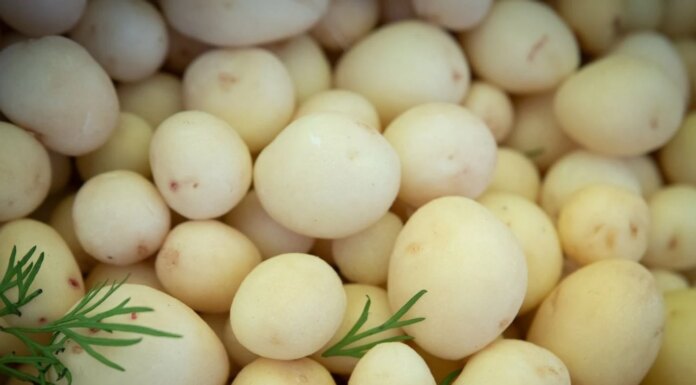 Цены на картофель в Украине начали стремительно расти