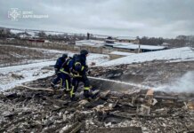 Враг атаковал ферму на Харьковщине: погибло 100 свиней, пострадал мужчина