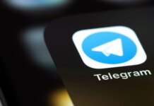 В МВД заговорили об ограничении Telegram на фоне терактов