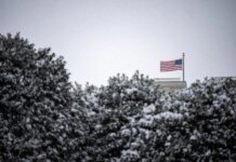 Глобальные пошлины Трампа вступили в силу на уровне 10%