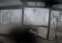 Под Запорожьем бойцы ГУР уничтожили штурмовые группы и перерезали логистику россиян