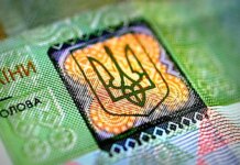 Цифровую гривну внедрят после войны – НБУ сосредоточился на регулировании виртуальных активов