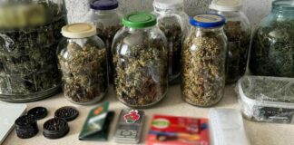 На Одещині ліквідували п’ять нарколабораторій, — ФОТО