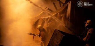 Атаки на порты и логистическая перегрузка сократили агроэкспорт на 20% от пиковых уровней — Высоцкий