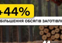 «Леса Украины» с начала года увеличили заготовку древесины на 44%, логистика и дефицит энергии замедляют ее отгрузку бизнесу