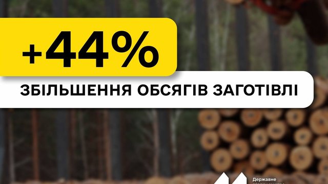 «Леса Украины» с начала года увеличили заготовку древесины на 44%, логистика и дефицит энергии замедляют ее отгрузку бизнесу
