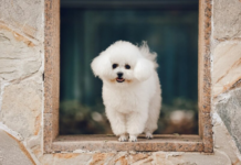 Ударят морозы до -15 градусов: синоптики назвали самые холодные области