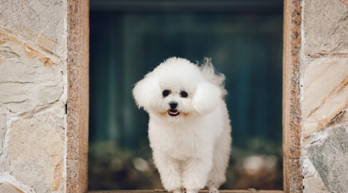 Ударят морозы до -15 градусов: синоптики назвали самые холодные области