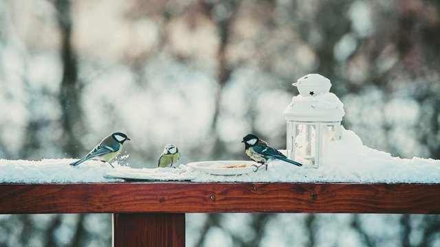 17 лютого: Яке сьогодні свято, все про цей день