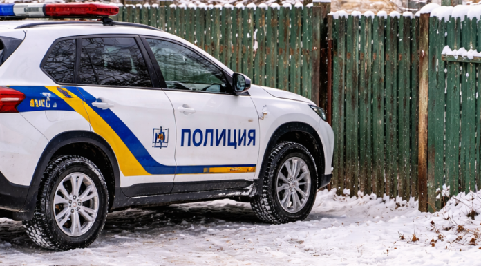 Недоїдає чи просто старий: поліція перевірила скаргу на утримання собаки на Одещині