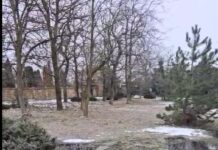 Поблизу Одеси прорвало каналізацію: хто відповість за забруднення, — ФОТО