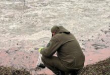 Рідкі відходи отруюють землю: на Одещині зафіксували масштабне забруднення земель, — ФОТО
