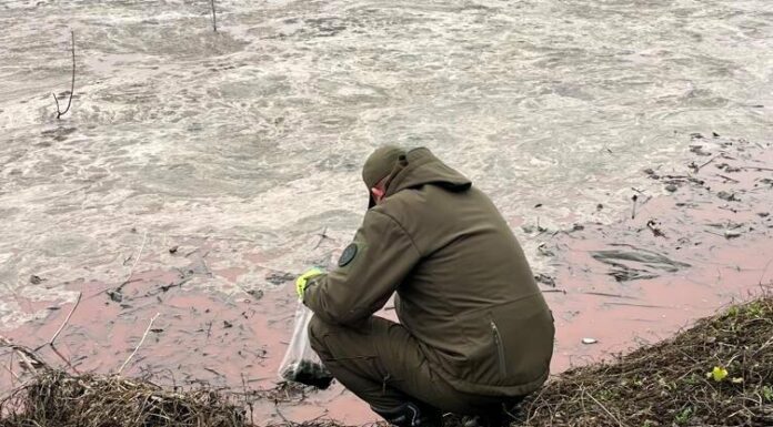 Рідкі відходи отруюють землю: на Одещині зафіксували масштабне забруднення земель, — ФОТО