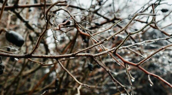 Синоптики попередили одеситів про завтрашній сильний снігопад та ожеледицю