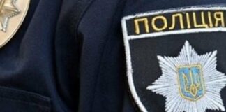 На Одещині чоловік стріляв у безпритульного собаку: що відомо