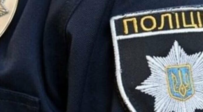 На Одещині чоловік стріляв у безпритульного собаку: що відомо