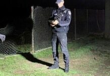 На Одещині п’яний водій збив двох підлітків і втік: вирок суду