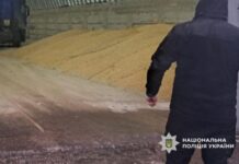 На Одещині перевізники вкрали 56 тонн сої на понад мільйон гривень