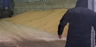 На Одещині перевізники вкрали 56 тонн сої на понад мільйон гривень