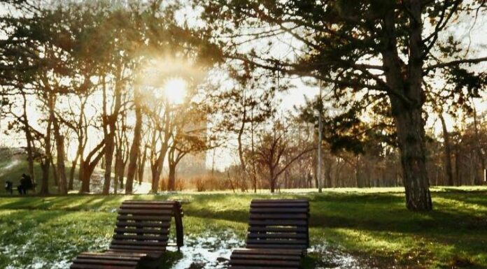 Спокійна ніч в Одесі та стабільний рух транспорту: як місто починає день