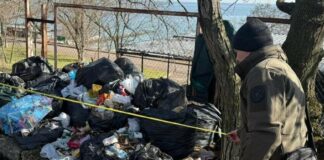 Одеса тоне у смітті: інспектори виявили порушення в місті й громадах