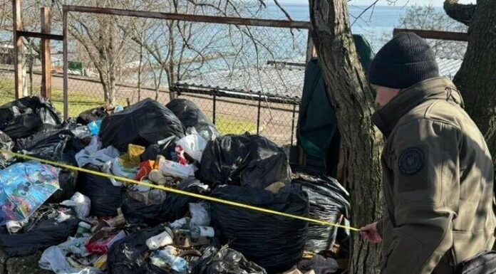 Одеса тоне у смітті: інспектори виявили порушення в місті й громадах