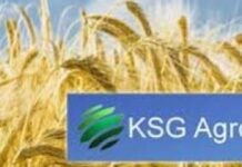 Акции KSG Agro в 2025 году выросли на 60,7% — компания вошла в ТОП-3 лидеров отрасли по капитализации