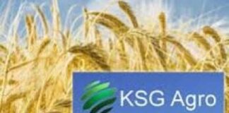 Акции KSG Agro в 2025 году выросли на 60,7% — компания вошла в ТОП-3 лидеров отрасли по капитализации