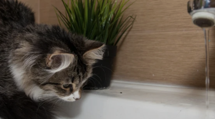 Масове відключення води в Одесі: перелік адрес