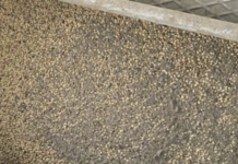 Тіньовий експорт: на Одещині викрили махінації з соєю на десятки мільйонів, — ФОТО