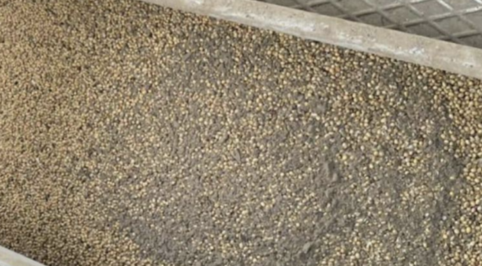 Тіньовий експорт: на Одещині викрили махінації з соєю на десятки мільйонів, — ФОТО