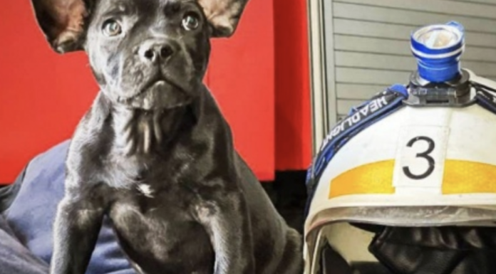 Небезпечний газ у домі: в Одесі отруїлася бабуся