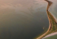 Окуповані гектари: як війна змінила Чорне море біля Одеси