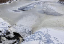 Тилігул на Одещині перекроїли бульдозером: у руслі річки викопали незаконний ставок, — ФОТО