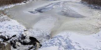 Тилігул на Одещині перекроїли бульдозером: у руслі річки викопали незаконний ставок, — ФОТО