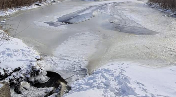 Тилігул на Одещині перекроїли бульдозером: у руслі річки викопали незаконний ставок, — ФОТО