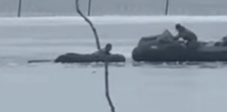 Лід не витримав: поліція розслідує загибель дівчинки на Одещині