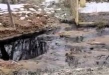 Поблизу Одеси прорвало каналізацію: хто відповість за забруднення, — ФОТО