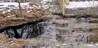 Поблизу Одеси прорвало каналізацію: хто відповість за забруднення, — ФОТО