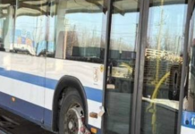 Одеса вже отримала ще п’ять соціальних автобусів із Київщини, — ФОТО