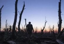 Український режисер Чернов отримав другу нагороду DGA