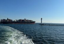 Ритмичность работы портов Большой Одессы восстанавливается, несмотря на январские обстрелы и непогоду – брокеры