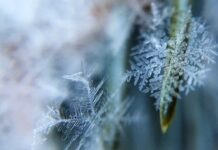 У понеділок в Україну повернеться негода та морози