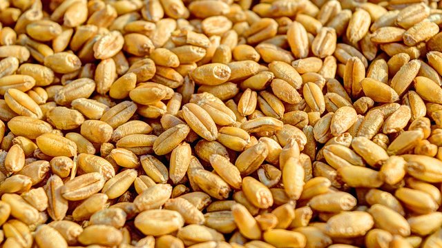 Экспорт агропродукции из Украины в январе 2026 г. сократился на 0,8% на фоне падения отгрузок масличных – УКАБ